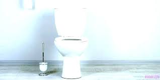 Toilet Seat Colors Mp3teca Com Co