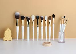 makeup brushes kit