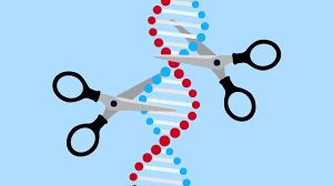 genome editing techniques the tools