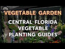 Central Florida Vegetable Planting