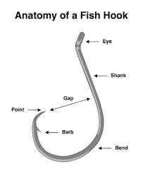 Guide To Hooks For Freshwater Fishing Right To The Point
