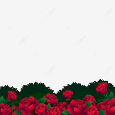 red rose garden vector design images