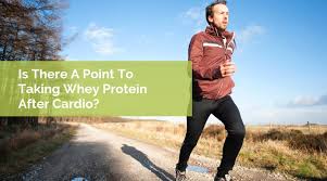 is whey protein beneficial for cardio