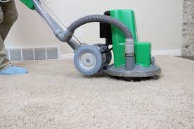 family friendly carpet cleaning