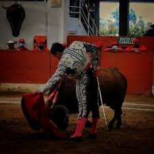 La grandeza del encierro de Mondoñedo con un toro que fue tres veces al  caballo y Juan de Castilla,en estado de gracia, salió en hombros en Puente  Piedra - Tendido7