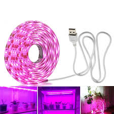Full Spectrum Led Grow Lights Usb Led Strip Lights 0 5m 1m 2m 2835 Chip Led Phyto Lamps For Greenhouse Hydroponic Plant Growing Grow Light Stand Led Grow Panel From Ledwanse 1 57 Dhgate Com