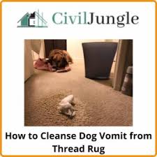 how to get vomit out of carpet