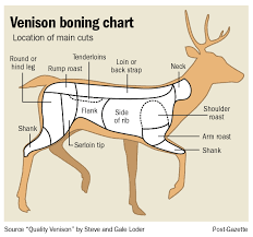 Just The Picture Of The Chart In 2019 Deer Butchering