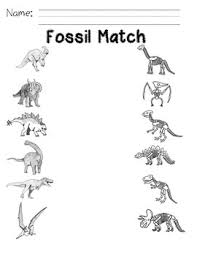 Download the fossil facts & worksheets. Fossil Match By Brainy Days Learning Materials Tpt