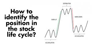 Stock Life Cycle Different Phases Identifying Position