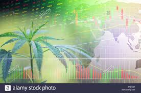 Business Cannabis Stock Leaves Marijuana Success Market