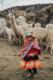 llama blessing ceremony in peru