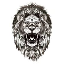 tatouage éphémère tête de lion qui