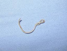 worm infestation in children treatment