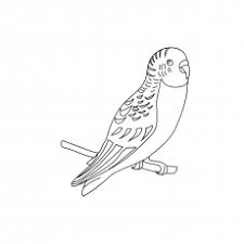 Colouring sheets will give children the opportunity to practise their colouring and fine motor skills, as well as giving them something lovely to put on display. 25 Cute Parrot Coloring Pages Your Toddler Will Love To Color
