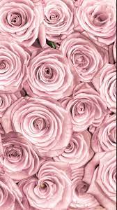 Rose Gold Wallpapers - Top Free Rose ...