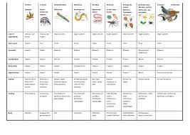 Invertebrates Chart