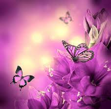 purple magic with flowers and