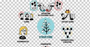 Large Scale Scrum More With Less Organizational Chart