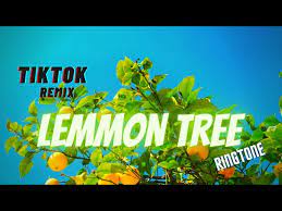 gustixa lemon tree ringtone remix