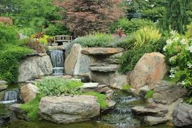 11 Plants For Rock Gardens That Aren T