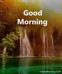 pictures of good morning nature