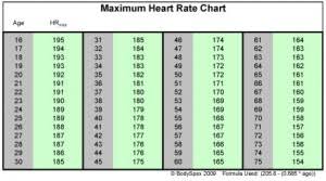 Bruce Protocol Chart Related Keywords Suggestions Bruce