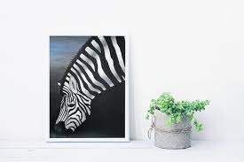 Zebra Printable Wall Art Bedroom Decor