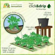 automatic grow bag watering kit with