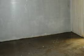 Water Damage In Basement What To Do