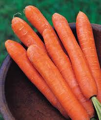 Carrots can be found in markets year round, but late summer through fall is prime carrot season. Nantes Half Long Carrot Seeds And Plants Vegetable Gardening At Burpee Com
