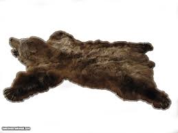 grizzly bear rug
