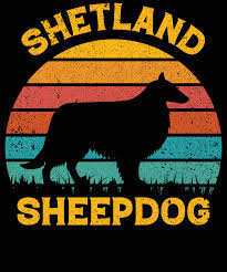 funny shetland sheepdog vine retro