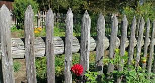 How Much Does Fencing Cost Garden