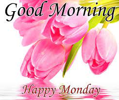 Good morning happy monday image. Happy Monday Good Morning Wishes With Flowers Pix Trends