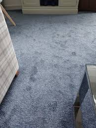 acorn carpet cleaning renfrewshire