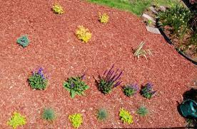 creating a planting bed and choosing