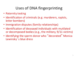 Dna fingerprint analysis gizmo answer key pdf the codis is an electronic database of dna profiles, quite similar to that of the afis or automated fingerprint identification system. The Uses Of Dn Dna Fingerprinting Scottishmusiccentre Com