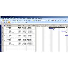 See An Example Of A Budget In Microsoft Project
