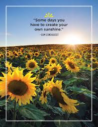 The direct rays, light or warmth of the sun. 46 Greatest Sunshine Quotes Everyday Inspiration About Sunshine