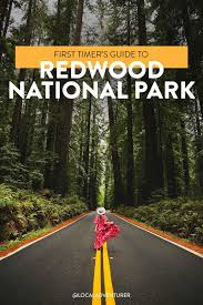 in redwood national park