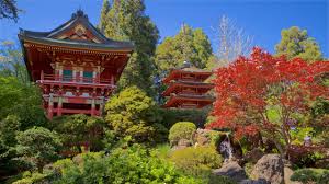 anese tea garden in golden gate