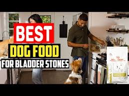 top 5 best dog food for bladder stones