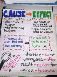 Cause and Effect by Mrs  Chapman   RBCS