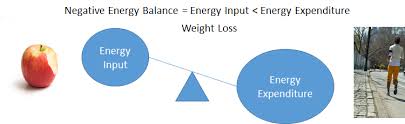 Energy Balance Energy In Energy Out