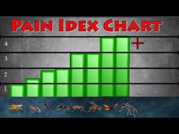 Pain Index Chart Comparison Most Painful Insect Bites Sting