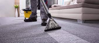 best residential carpet cleaner clean