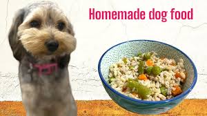 the best homemade dog food recipe just