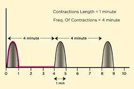 Contraction Timer Calculator For Labor Pains Momjunction
