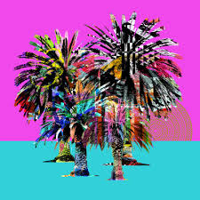 Image result for desert palms